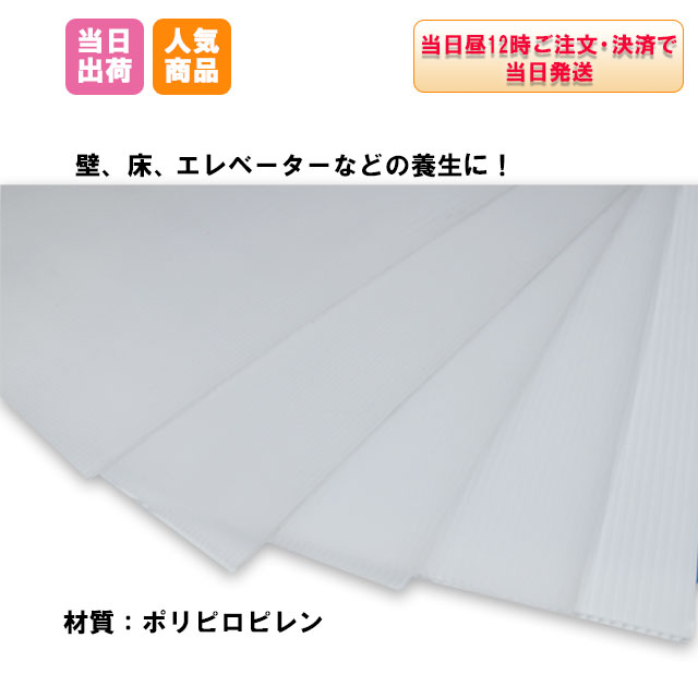 プラベニヤ 2.5×910×1820 ナチュラル (20枚) 半透明 2.5mm 現場 養生 補修 引っ越し資材 改修工事 下敷き材 壁 床 プラダン 段ボール 窓断熱材 目隠し 結露防止 防寒対策 プラベニア 【個人宛配送不可】のサムネイル