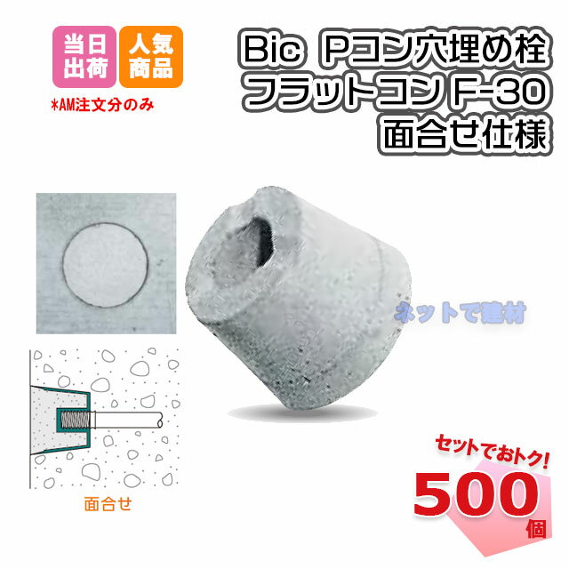 Pコン穴埋め栓 フラットコン 面合わせ F-30 500個入 ボンド5本付き BiC 151240040