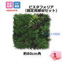ビスタフォリア 1枚 固定用部材セット人工壁面緑化 80x80cm インテリア ビスタグリーン 造花 カフェ 植物 看板 パネル 装飾資材 グリーンフィールド ...