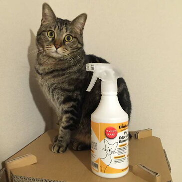 【即日発送可】Cat Odor (キャットオダー) 500ml 消臭剤 猫 ペット 多頭飼い トイレ 猫砂 アンモニア　消臭スプレー 砂場 臭い 天然由来 バイオ 微生物 酵素 たんぱく質 マーキング