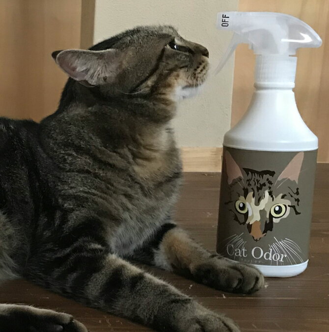 猫消臭スプレー　Cat Odor (キャットオダー) 500ml 消臭剤 ペット 多頭飼い トイレ 猫砂 アンモニア　砂場 臭い 天然由来 バイオ 微生物 酵素 マーキング 匂い　消臭のサムネイル