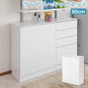 【FACE】 ランドリー収納 キャビネット 幅60 奥行30 高さ87.5cm ホワイト 背面化粧仕上げ ハイグロス ランドリーラック サニタリー収納 薄型 洗...
