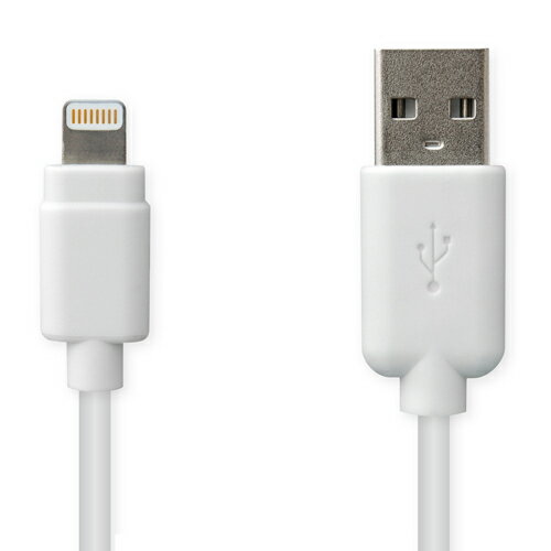 USB[dP[u 10cmzCgyLightningz(KL63)