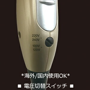 海外でも使える!冷風機能付マルチボルテージマイナスイオンドライヤー(NTI168)