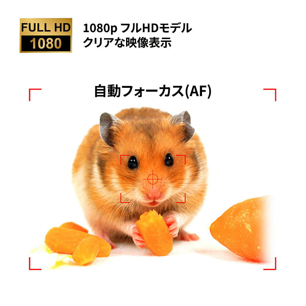 ��������󥫥�� ���ݡ���DV����� �����֥���� �ޥ�����¢ ���ȴƻ륫��� ��������֥륫��� Ķ���� 1920��1080p�ե�HD���� �ֳ������󥵡� ��ֻ��� ư�θ��ε�ǽ��� ����ȥ����ȥɥ����� ���ܸ�����դ�