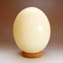 国産 ダチョウの卵 食用 小（約1.3kg）冷蔵 （沖縄・離