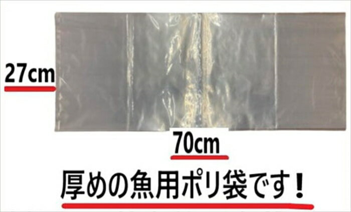 �ץ���Ȥ�����������̣���� ������¸ ���뤿��Υ��åȡʥ��꡼��ѡ������ۡ������緿���� �ʥ������ޡ� �� �Хꥢ��å� �⤪�դ��ޤ��� ��� ��� �Ĥ� ���� ���ܼ� ��ȴ�� �ʲ��졦Υ��������Բġ� ���ե� gift ����� ����� ���渵 ����� ������ �ץ쥼���