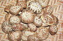 大分県産 乾燥椎茸（どんこ）200g（100g×2袋）国産原木 しいたけ 天日干し シイタケ エアブロー