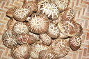 大分県産 乾燥椎茸(どんこ)200g(100g×2袋)国産原木 しいたけ 天日干し シイタケ エアブロー (北海道・沖縄・離島は配送不可)