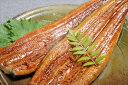国産 静岡県産 うなぎ の 蒲焼 120g×5(タレ+山椒付き) <冷凍> 鰻 ウナギ かば焼き ギフト gift 母の日 父の日 御中元 御歳暮 誕生日 プレ...