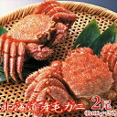 毛がに ボイル 400g×2尾 <冷凍> 毛蟹 カニ GIFT対応可商品 ギフト gift 母の日 父の日 御中元 御歳暮 誕生日 プレゼント