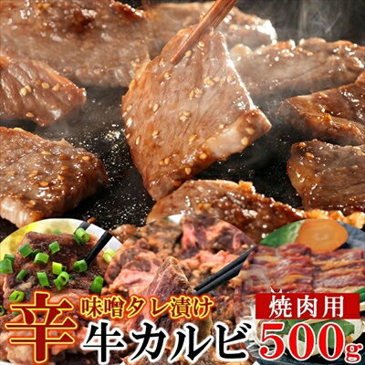 辛味噌タレ漬け牛カルビ（焼肉用）500g ＜冷凍＞