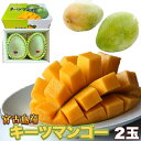 宮古島マンゴー キーツ 約2kg <常温> 【期間限定】 ギフト gift 母の日 父の日 御中元 御歳暮 誕生日 プレゼント