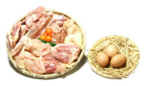 秋田 比内地鶏 1羽 ＋ 赤卵 3個付き 鍋に最適