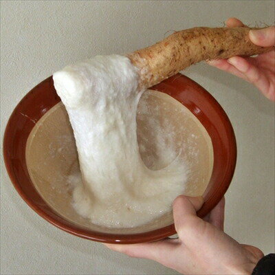     1kg