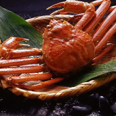 ボイルずわいがに姿 750g×1杯 <冷凍> (離島は配送不可) かに カニ 蟹 年末年始 正月 ギフト gift 母の日 父の日 御中元 御歳暮 誕生日 プレゼント