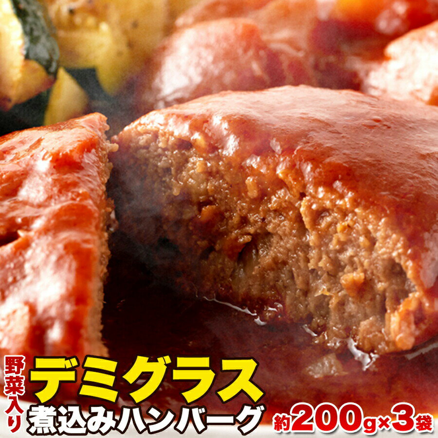 野菜入り デミグラス 煮込み ハンバーグ 約200g×3袋 ＜常温＞ （追跡可能メール便：ポスト投函）のサムネイル