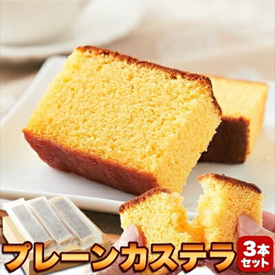 本場 長崎 の プレーン カステラ 大容量900g（3本セット） ＜常温＞