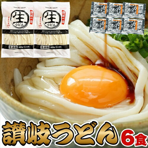 Other - 鎌田醤油特製ダシ醤油6袋付き 讃岐うどん6食分600g（300g×2袋） ＜常温＞ （追跡可能メール便：ポスト投函）