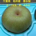 千葉県市川産の名梨 豊水梨 約5キロ 8玉~16玉 【千葉梨】