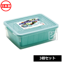 タケヤ化学工業 ざるコン角 9L (3個セット) 日本製 ザルとコンテナーのセット ~R~