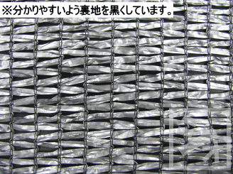 ���Υ٥å��� ��å���׸��ͥå� ��75% ����С� ����2m��6m�� �ơ��ץϥȥ���