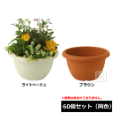 【法人配送限定】 アイカ 植木鉢 ブランシュボール 300号型 60個セット 同色 直径30×16.5cm ~R~