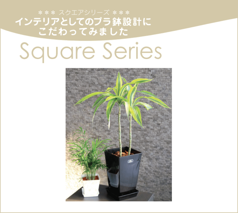 【法人配送限定】 アイカ 植木鉢 ロースクエア 4号型 80個セット 同色 幅10×奥行10...