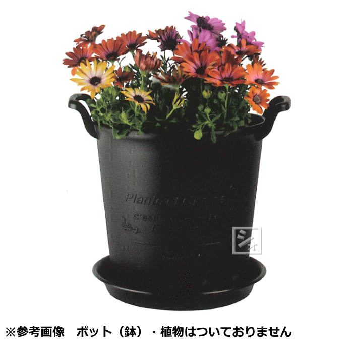 【法人配送限定】 アイカ パニエポット受皿 250号型 100個セット 同色 ~R~