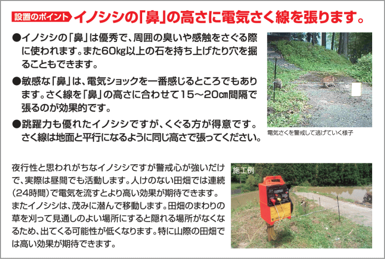 末松電子 電気柵セット デンエモン2_200mセット （#941 デンエモン2_100mセット ＋ #970 デンエモン2_100m延長セット） ~R~