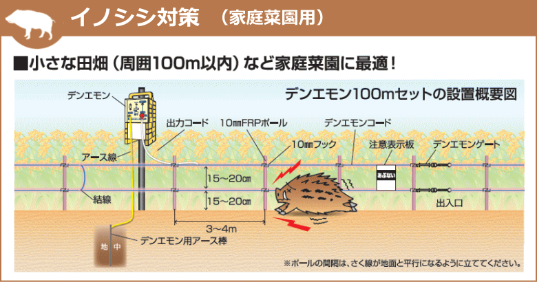 �����Ż� �ŵ������å� #941 �ǥ󥨥��2_100m���å�