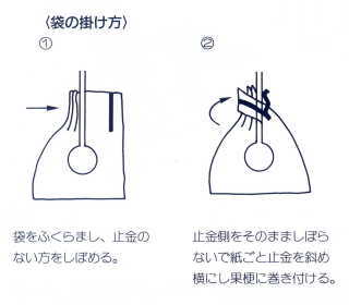 ���ӥˡ��� �̼��� �ӥ��� 20���� �߶���