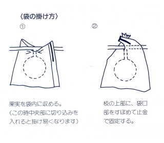 ���ӥˡ��� �̼��� ���� 20���� �߶��� ~R~