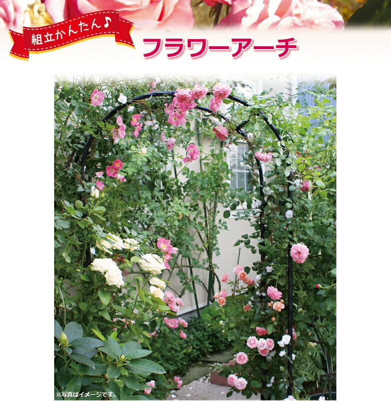 ���ӥˡ��� W150-H �Ȥ�Ω�Ƥ��󤿤� �ե�������