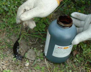 ���ô���� ����� ����Ϻ ���� �����ѡ��֥�å� 1L ���Ϸ� ŷ���ϡ��֥������۹�