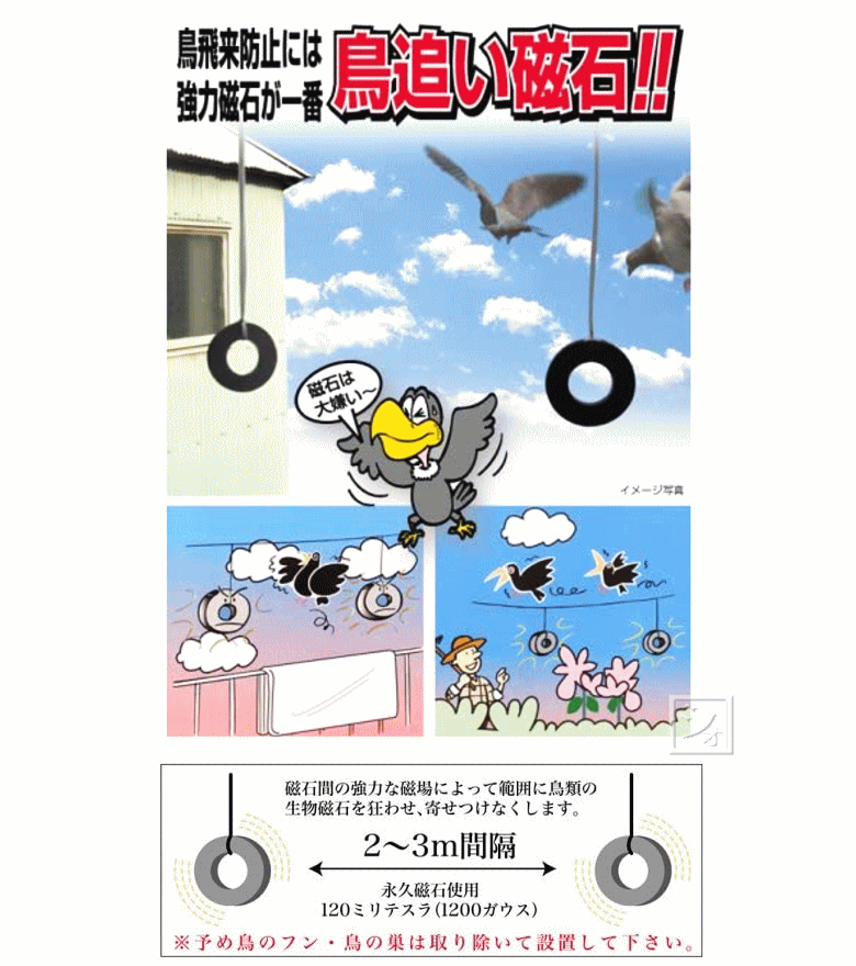 楽天市場 鳥追い磁石 超強力 2個入 日本製 ねっとんや みんなのレビュー 口コミ