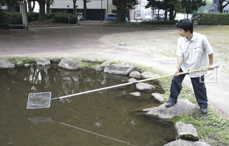 【法人配送限定】 八ツ矢工業 30030 ごみとりネット 伸縮ハンドル （2-3m） ~R~