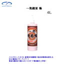 クリスタルプロセス G05400 一発鏡面 極 4L×1個 メーカー直送品(2)