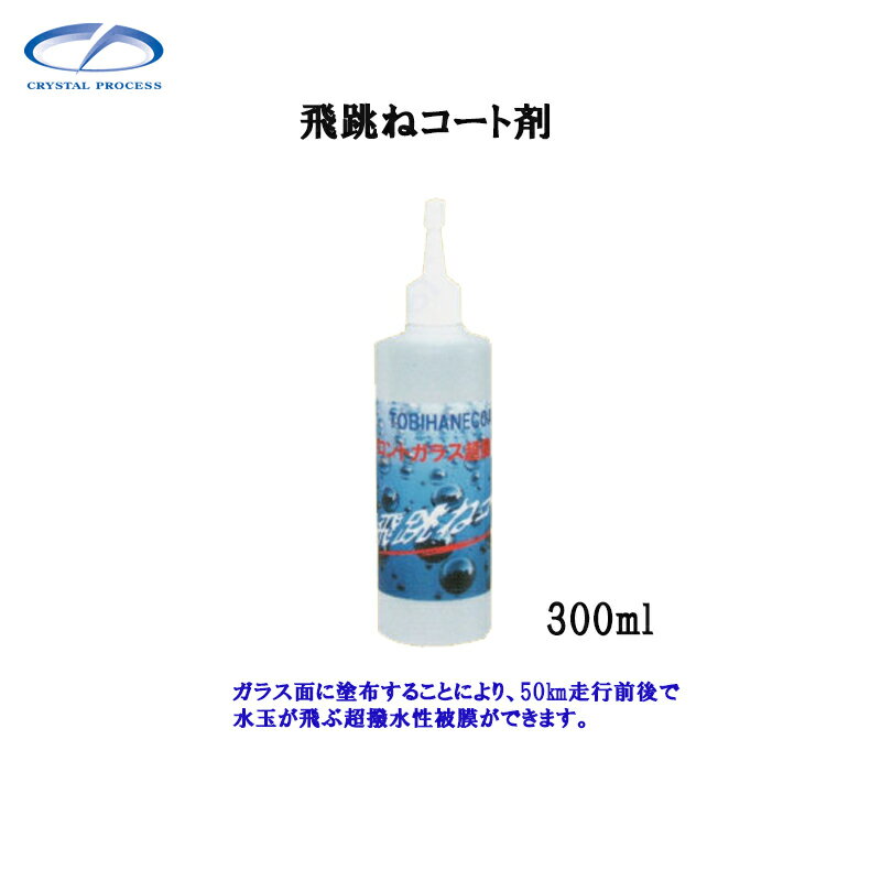 クリスタルプロセス H06030 飛跳ねコート剤 300ml×1個 メーカー直送品