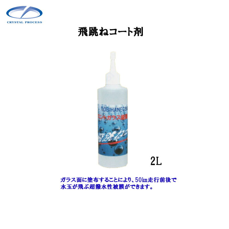 ꥹץ H06200 ķͥȺ 2L1 ᡼ľ