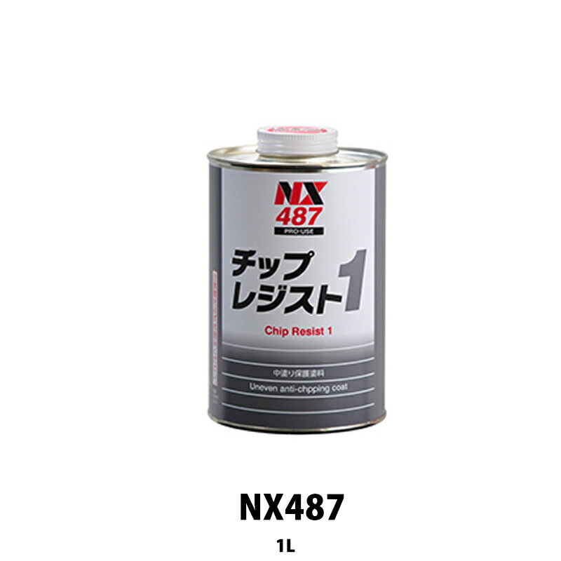 イチネンケミカルズ NX487 チップスレジスト1 1kg 取寄