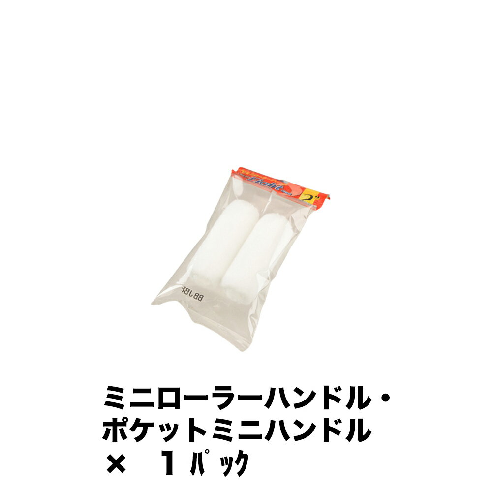 大塚刷毛 ミニローラー MICRO EIGHT 6ミリ 2本入 2MS-ME6 ×1パック 160265 0602 取寄