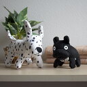 犬 猫 Docpal ドクパルぬいぐるみセット サラビオ SARABiO