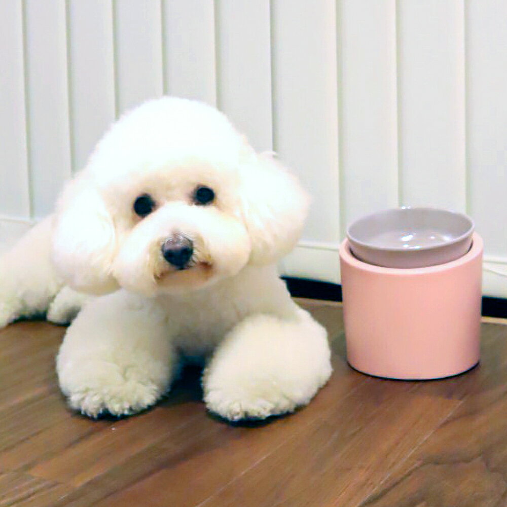 【メーカー公式】Docpal 犬 猫 フードボウル 高タイプ ペット用食器 高さのある食器 餌皿 水飲み皿 食べやすい 首に負担が少ない ペット食器 安定設計 日本製 SARABiO 送料無料