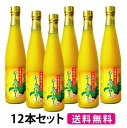 【送料無料】沖縄県産100％シークヮーサー 原液 500ml×12本セット シークヮサー 原液 皮ごと まるごと絞り シークワーサー ジュース 果実 100％ クエン酸 ビタミンC ノビレチン