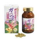 ガジュツ粒 100g（約500粒入）