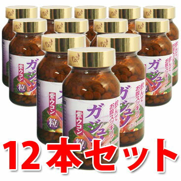 【送料無料】ガジュツ粒 100g×12本セット