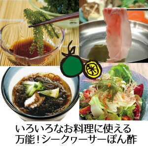 沖縄県産太もずく2.5kg・シークヮーサーぽん酢【送料無料】