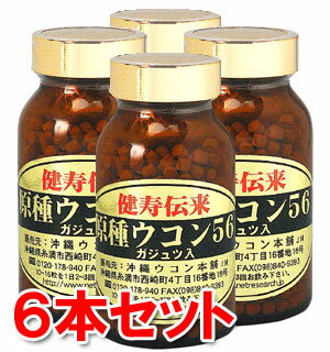 【送料無料】原種ウコン56　クルク