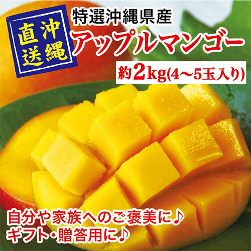 【予約販売！！ギフト・贈答用】特撰沖縄県産濃厚完熟アップルマンゴー約2kg ( 4玉〜5玉入り )　【送料・代引手数料無料】　お届けは7月初旬頃からのサムネイル
